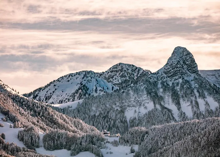 Le Toit De - Entre Alpes Et Leman *